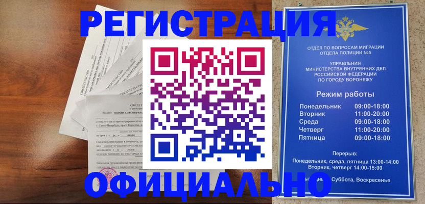 прописка поиск в Зеленогорске